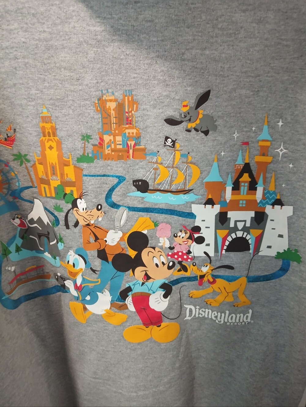 DISNEY gray Hoodie For Women